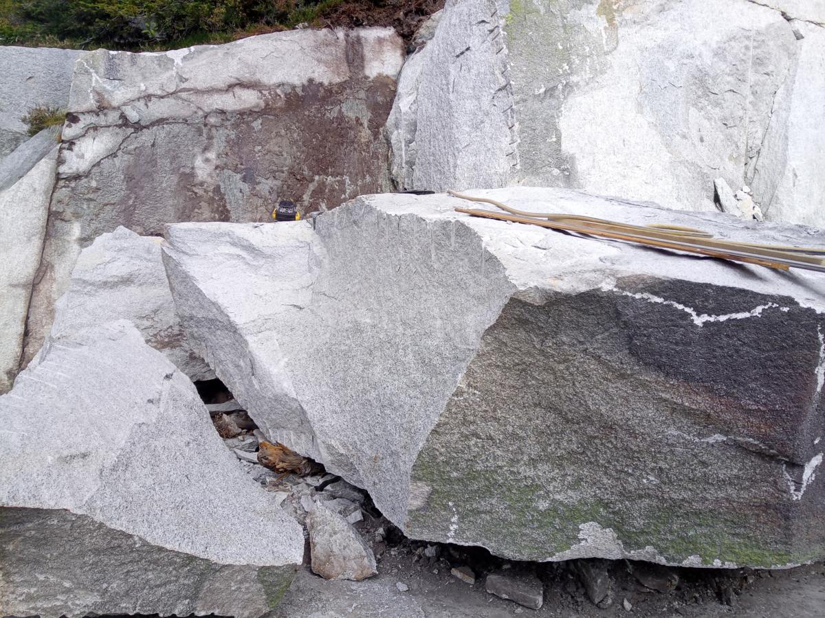 IMG_20211012_123416_6