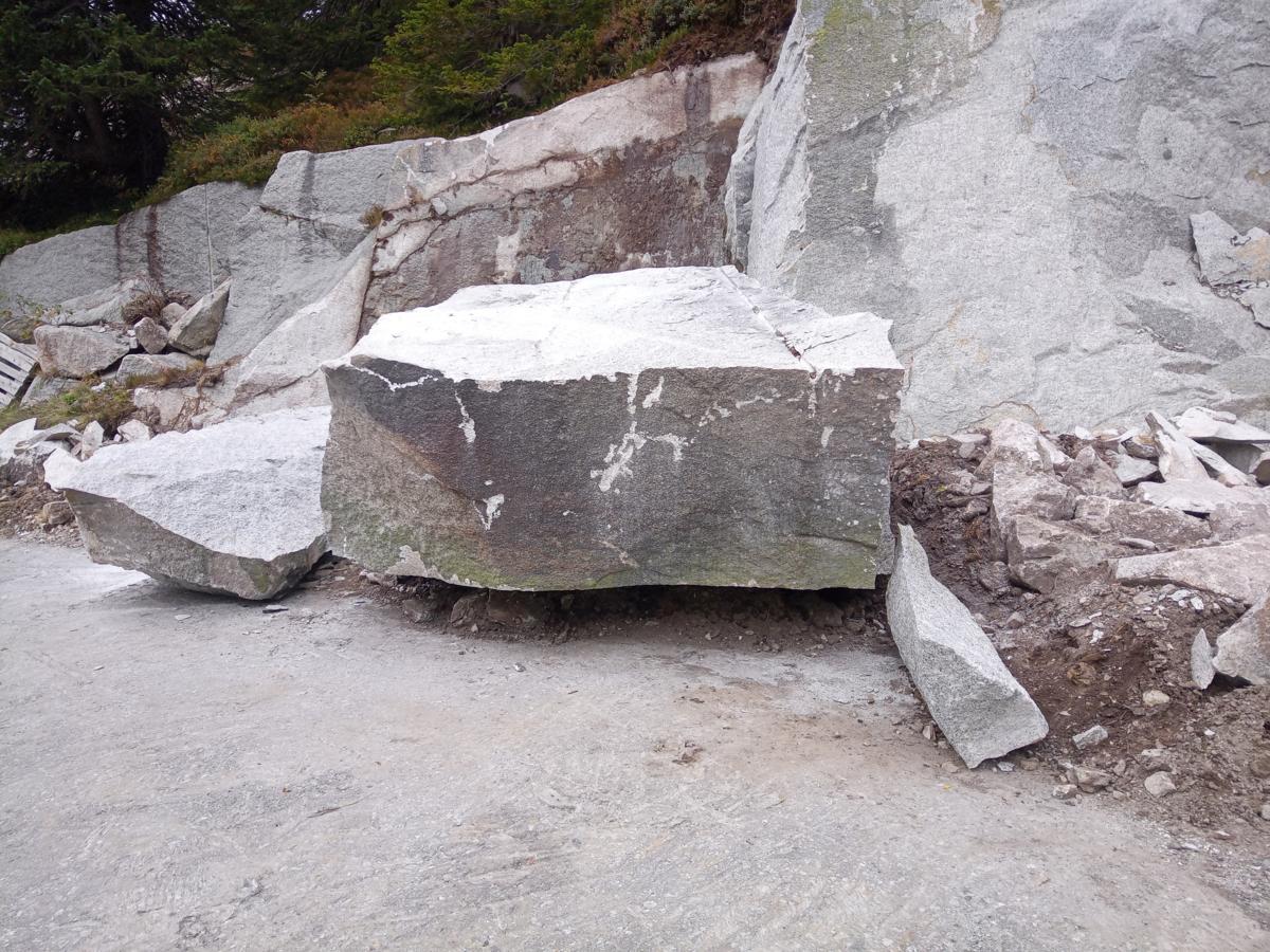 IMG_20211012_142216_3