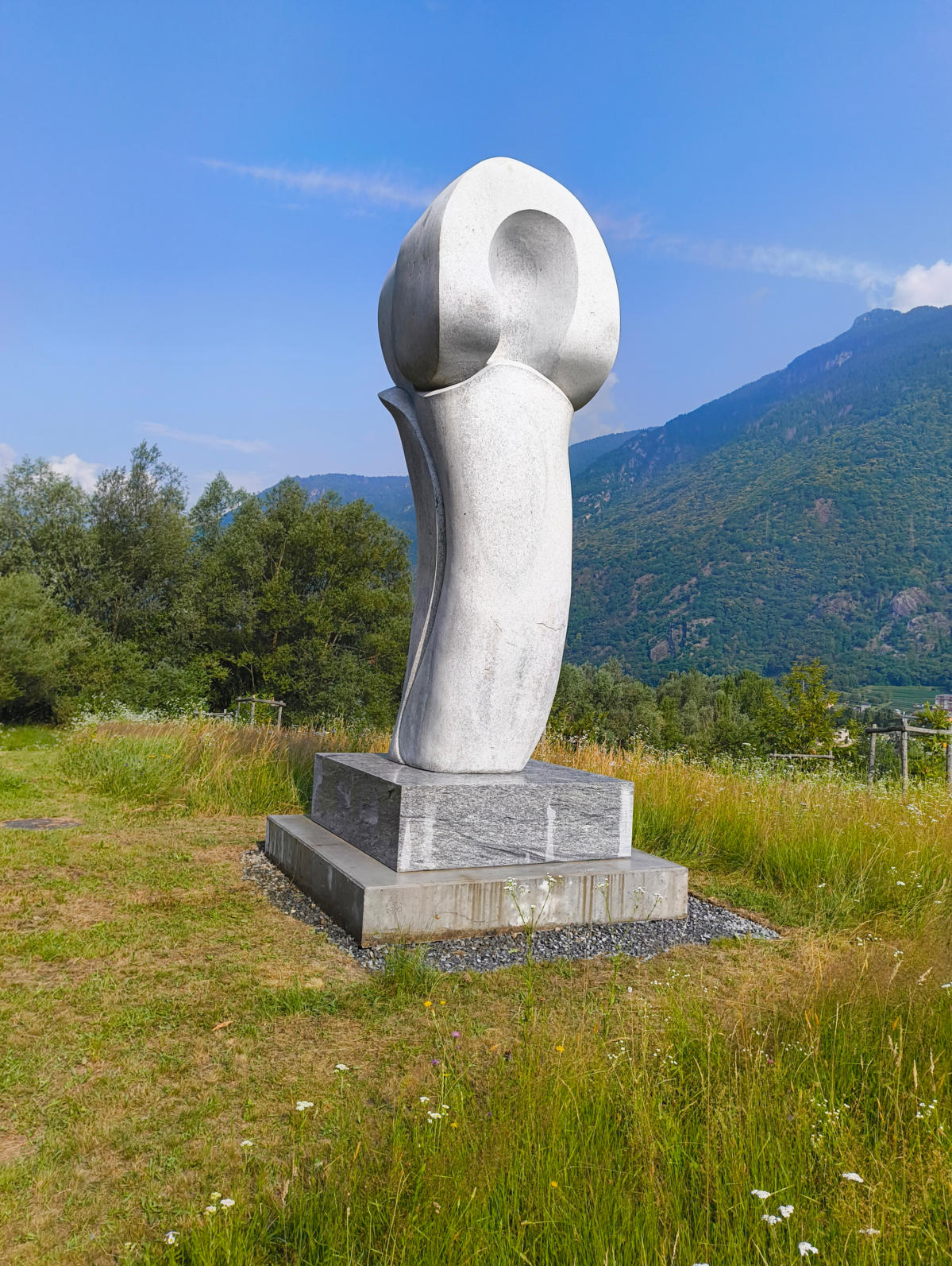 IMG_20250626_091734908