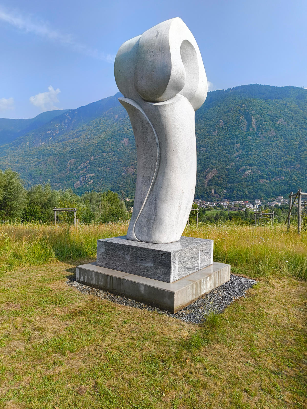 IMG_20250626_091746182